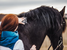 SkinPET Chlorhex Shampoo 4,0%