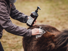 SkinPET Chlorhex Shampoo 0,5%